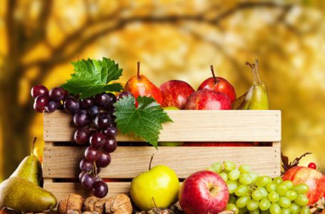 Держпідтримка – 2021: нараховано бюджетну дотацію на розвиток садівництва, виноградарства та хмелярства