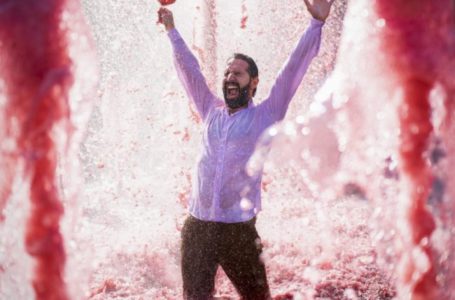 Кращі фотографи 2021, які знімають вино та виноробні