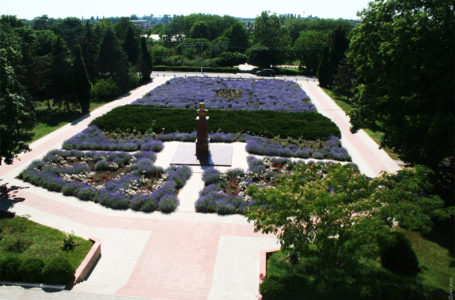 Територію біля інституту Таїрова оголосять парком-пам’ятником