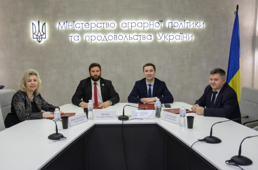  У Мінагрополітики України підписали Меморандум з виноробами: основні позиції співпраці