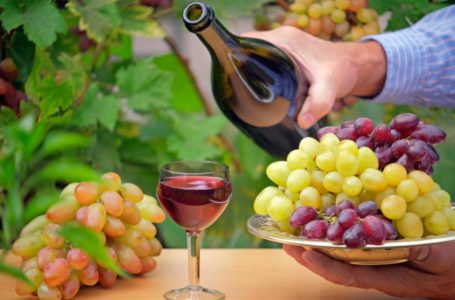Відомі винзаводи і малі виноробні України і Молдови вже зареєструвалися на конференцію «Успішне виноградарство і виноробство», – запрошуємо до участі й вас!