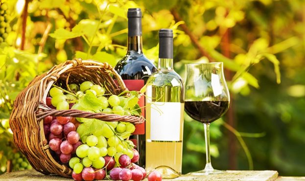  Успешное виноградарство и виноделие: приглашаем на профильную конференцию 3-4 марта