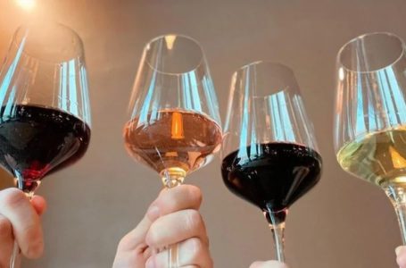 Органічні, біодинамічні та натуральні вина: що потрібно знати про натуральне виноробство