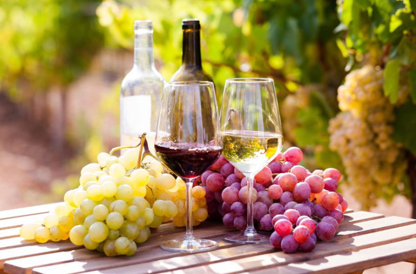  Увага! Зміна дати проведення IV Міжнародної науково-практичної конференції «Успішне виноградарство та виноробство»