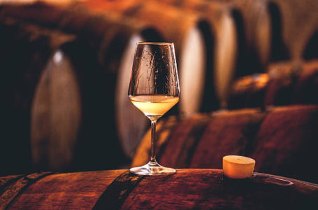 Вино від Vinoman розіграють на благодійному аукціоні для допомоги тваринам, постраждалим унаслідок війни