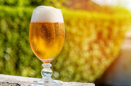 У ЄС упродовж 2021 року виробництво безалкогольного пива зросло на 20%