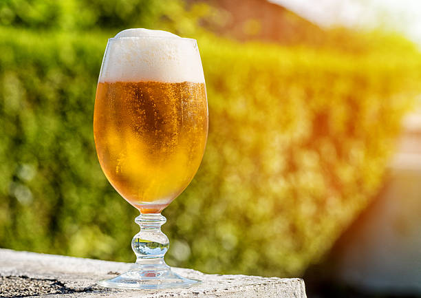  У ЄС упродовж 2021 року виробництво безалкогольного пива зросло на 20%