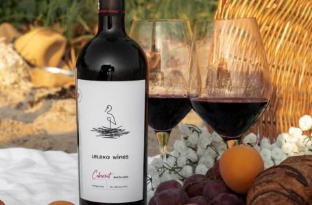 Leleka Wines: український бренд відновлює свою роботу