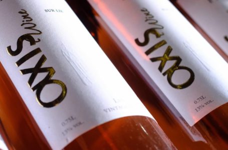 AXIS Wine: яким буде старт виноробного сезону у винарні на Львівщині?