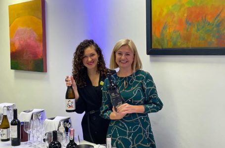 Українські вина презентували в Ірландії