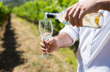 Moldovan Wine Vernissage: у Бухаресті відбудеться молдовський винний вернісаж