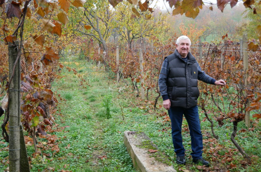  «Чисті» вина виготовляє відомий винороб Василь Анталовський на Закарпатті