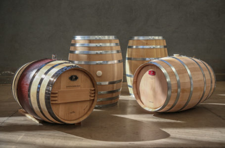 Новий бренд бочок для витримування вина – TN Coopers. Чилійська якість та неповторність