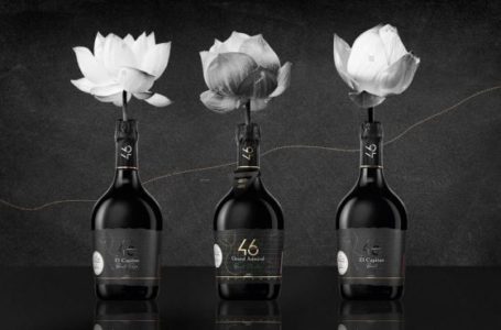 46 Parallel Wine Group відсвяткувала своє 3-річчя