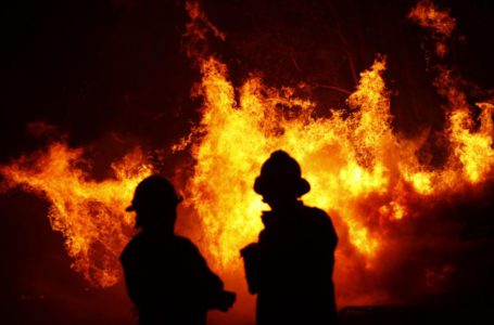 Лісові пожежі в Чилі охоплюють історичні виноградники та знищують виноробні