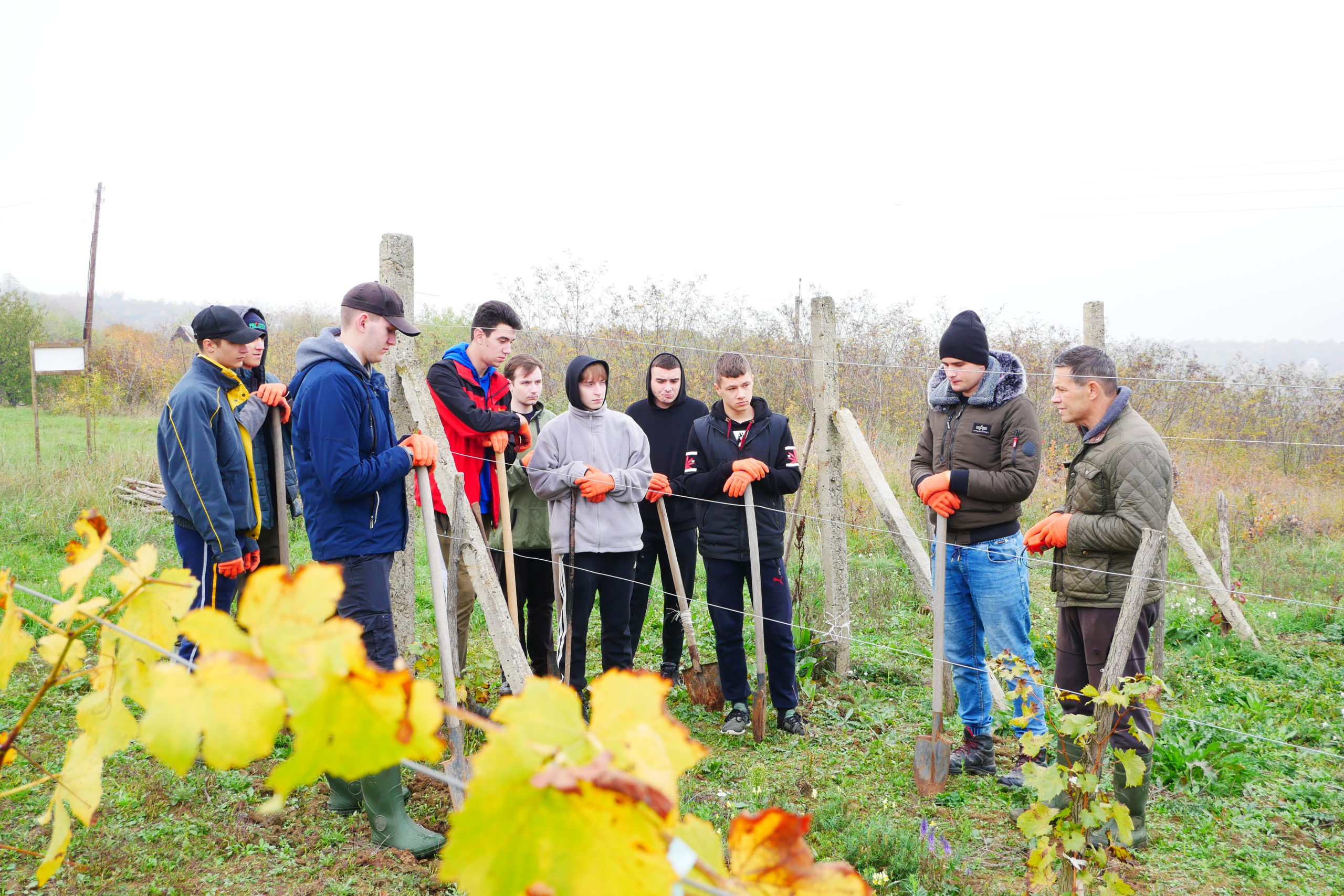 Виноградарство в аудиторії не вивчиш, вважають в Ужгородському національному університеті, де діє кафедра плодоовочівництва і виноградарства з навчально-науково-виробничим центром