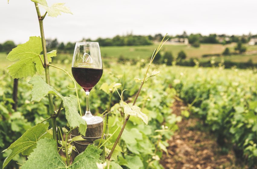  44th World Congress of Vine and Wine: у червні в Іспанії відбудеться всесвітній конгрес, присвячений винограду та вину
