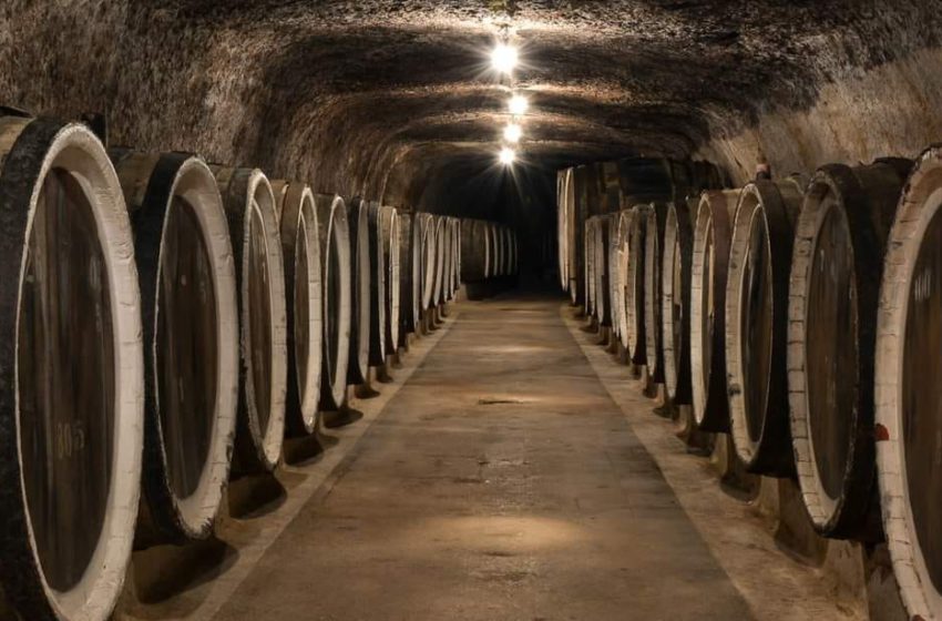  Перлини закарпатського вина з унікальних підвалів ХVI століття