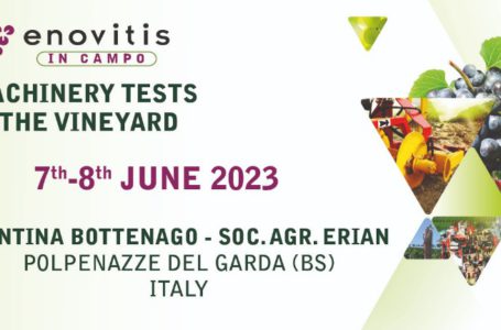 Enovitis in campo та Enovitis Extreme: провідні виставки в галузі виноградарства відбудуться вже влітку цього року