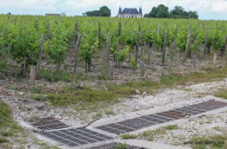 Бордоський щоденник: думки про молдавські виноградники та виноробство в порівнянні