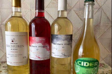 «Шато Бачурін та сини» отримало ліцензію на виробництво алкогольних напоїв