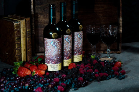 Компанія Big Wines вирощуватиме виноград на Одещині