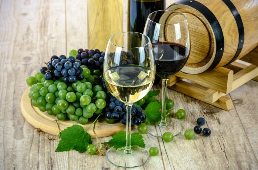  Галузь виноградарства та виноробства в Україні: шлях до нових здобутків