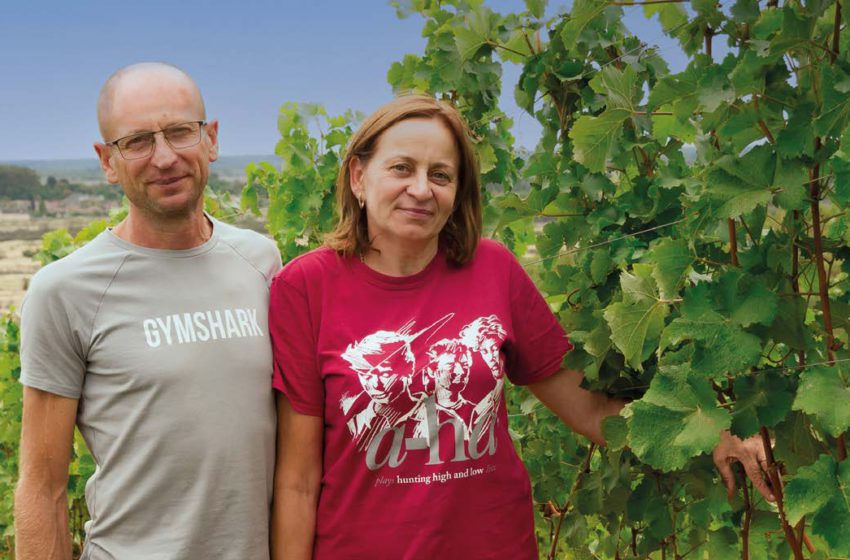  Винороби Еріка та Андрій КОВАЧІ: «Прагнемо продавати вино тим, хто в ньому розбирається»