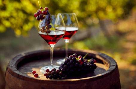 Як виноград стає вином