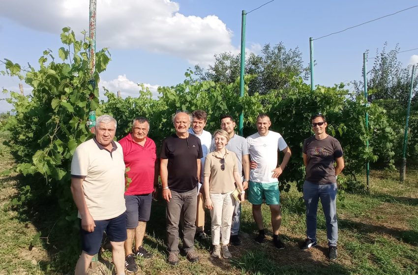  Моніторингова місія ЄС відвідала Асоціацію виноградарів виноробів та дистиляторів Закарпаття