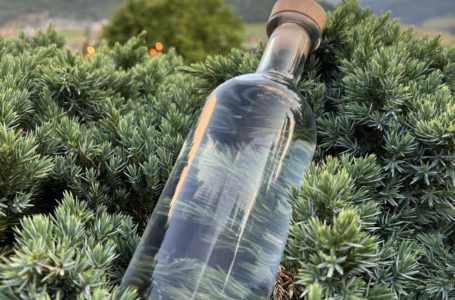 Чому пляшка Noalese – вдалий вибір для ексклюзивних дистилятів