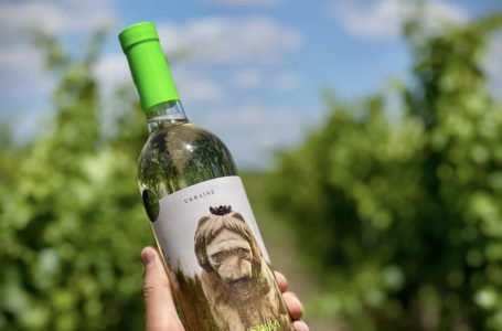 Бренд Frumushika-Nova презентував нову етикетку для вин