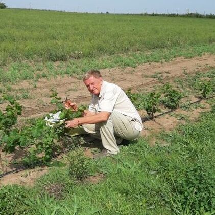  Херсонщина: сімейна виноробня «Курінь» на межі зникнення