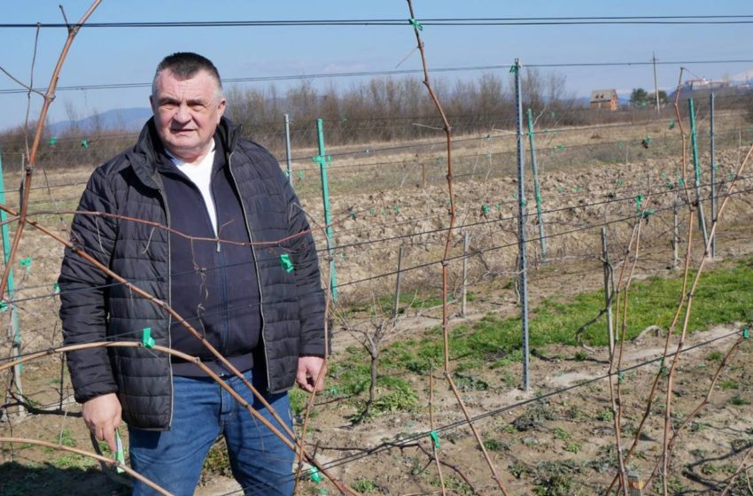  Познайомити світ із Винами Срібної Землі – головна мета ГО «Асоціації виноградарів, виноробів та дистиляторів Закарпаття»», – голова Асоціації Олександр Гарновдій