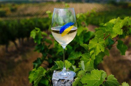 Про історію українського виноробства з винною експерткою Анною-Євгенією Янченко