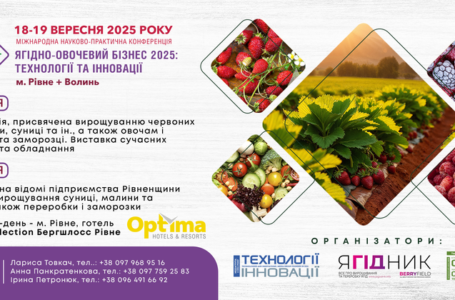 Учасники Міжнародної науково-практичної конференції «Ягідно-овочевий бізнес: технології та інновації» відправляться у бізнес-тур перспективними господарствами Рівненщини та Волині