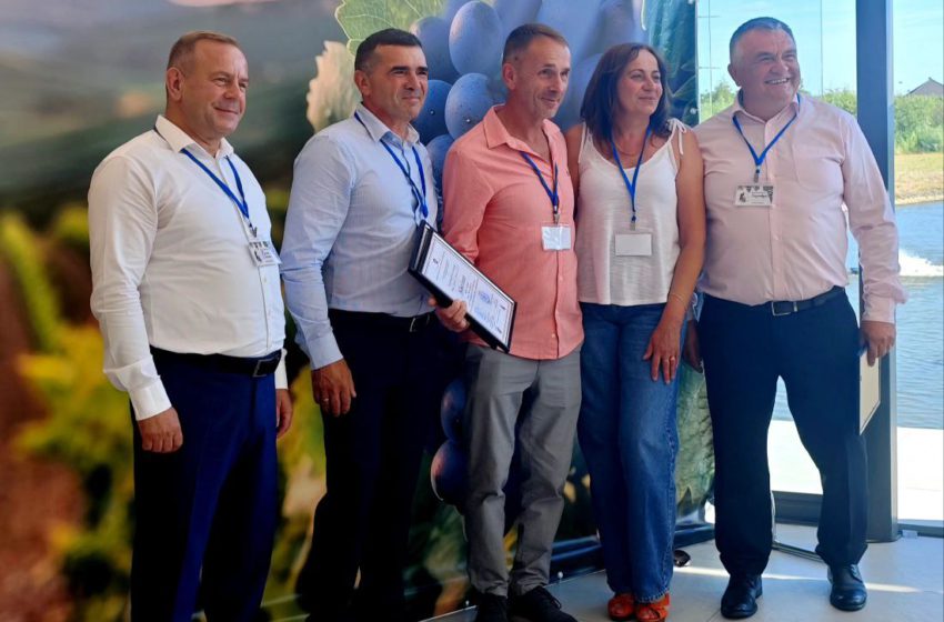  Кращі вина Закарпаття за результатами винного конкурсу «Вина Срібної Землі»