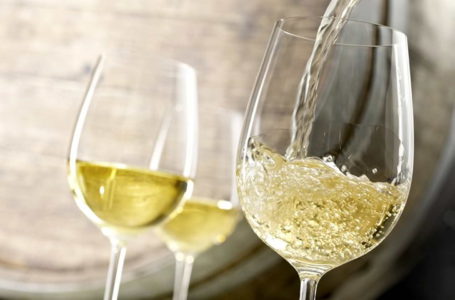 Українські вина з Галичини здобули «золото» на Berlin Wine Trophy