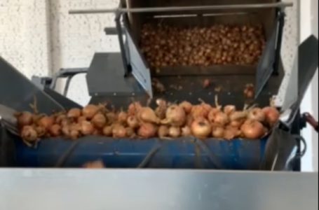 Продаються сортувальна та пакувальна лінії: ефективні комплекси для вашого підприємства