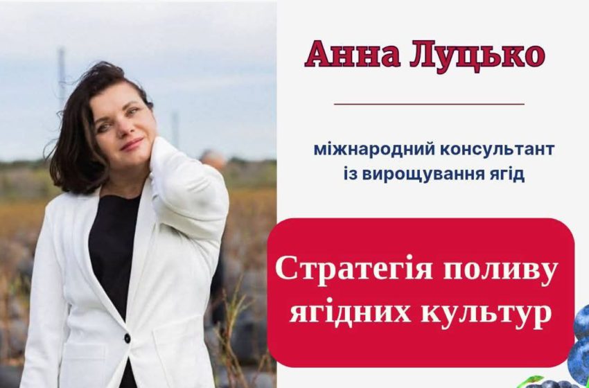  Стратегія поливу ягідних культур: Анна Луцько виступить на SmartBerry 2025 у Києві 11 грудня
