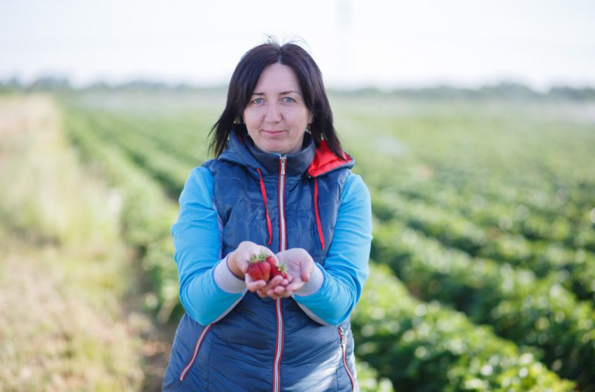  Ірина Кобринець на SmartBerry Конференції 2025: як підготувати ягідну плантацію до кліматичних викликів