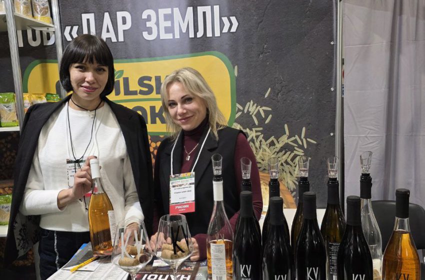  Koblia Vino — новий український виробник вин із Хмельницького
