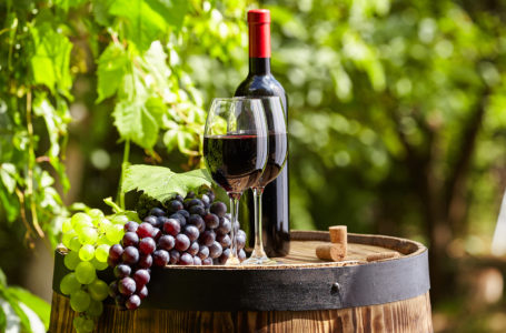 Red wine with barrel on vineyard in green Tuscany, Italy
