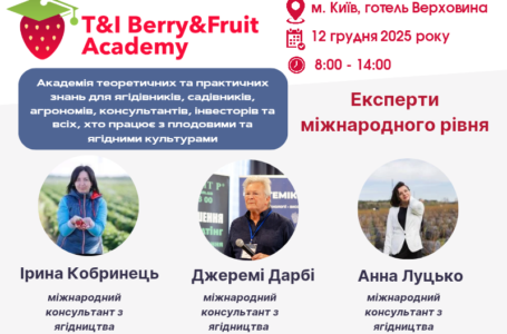 Суниця, малина, лохина – який бізнес найкращий?