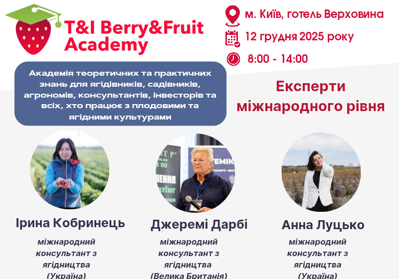  Суниця, малина, лохина – який бізнес найкращий?