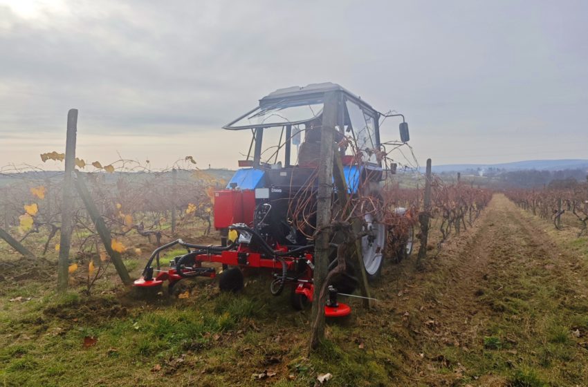  Поєднання традицій і технологій: бізнес-тур із демонстрацією техніки ID David у закарпатському господарстві Крицкіх