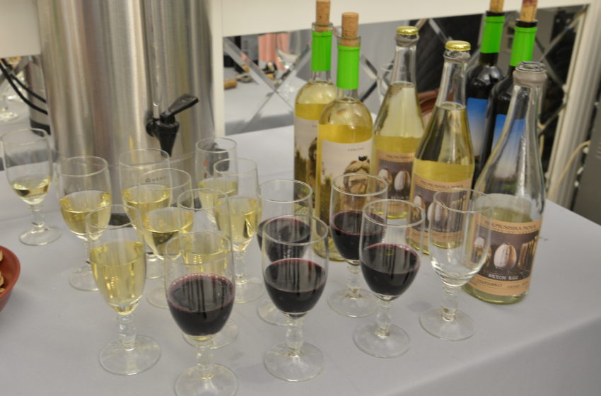  Вина з Бессарабії: Фрумушика-Нова на SmartBerry 2025