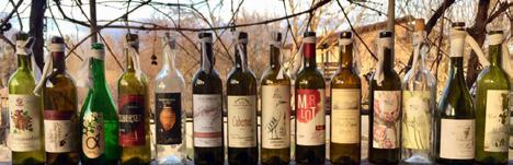  ВИНА, У ЯКІ ВКЛАДАЮТЬ ДУШУ