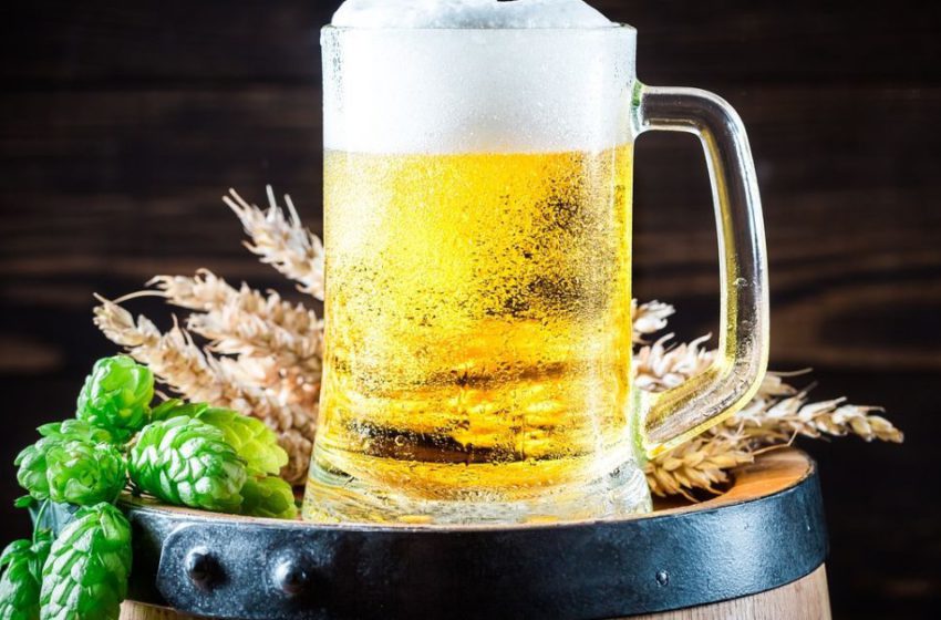  Власні дріжджі, рекуперація енергії та українська сировина: виробничі підходи Red Cat Brewery