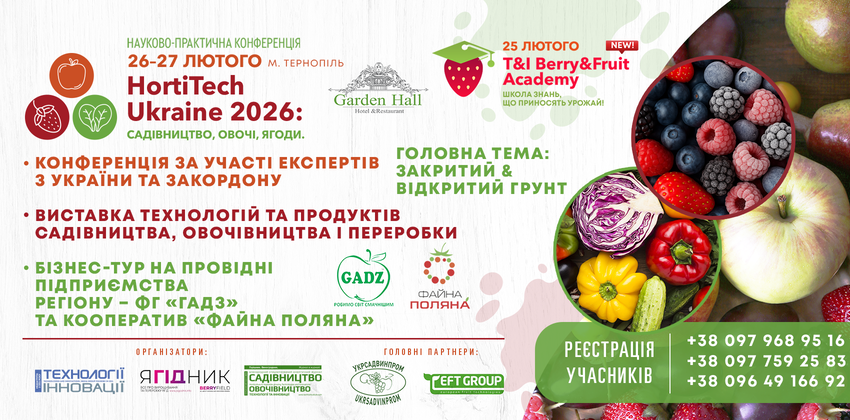  Контрольоване вирощування та ринок: стратегія сучасного тепличного бізнесу
